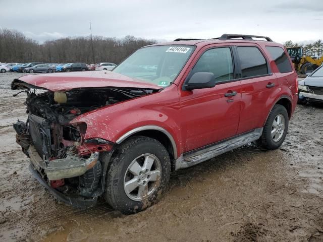 2010 Ford Escape XLT