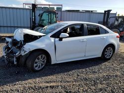 Toyota Corolla le salvage cars for sale: 2020 Toyota Corolla LE