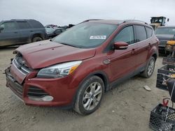 Ford salvage cars for sale: 2014 Ford Escape Titanium