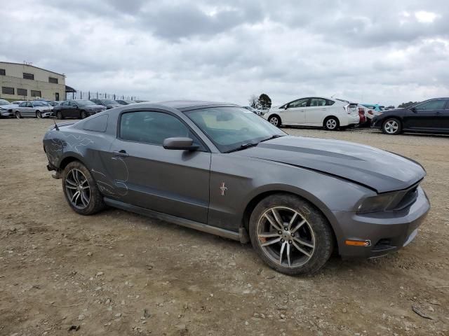 2010 Ford Mustang