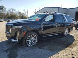 Vehiculos salvage en venta de Copart Savannah, GA: 2023 Cadillac Escalade Premium Luxury