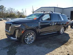 Salvage cars for sale at Savannah, GA auction: 2023 Cadillac Escalade Premium Luxury