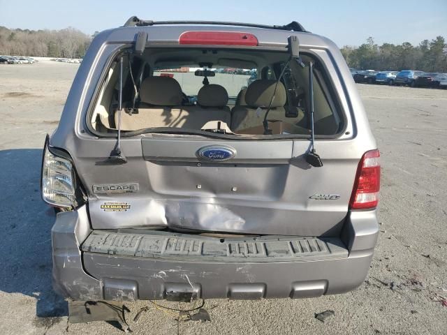 2008 Ford Escape XLT