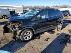 Salvage cars for sale from Copart Pennsburg, PA: 2013 Ford Escape SE