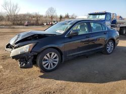 Salvage cars for sale at Columbia Station, OH auction: 2011 Honda Accord EXL