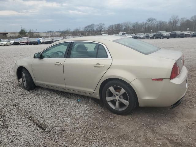 2011 Chevrolet Malibu 1LT