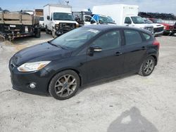 Ford Focus SE salvage cars for sale: 2013 Ford Focus SE