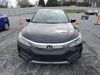 2017 Honda Accord Sport Special Edition