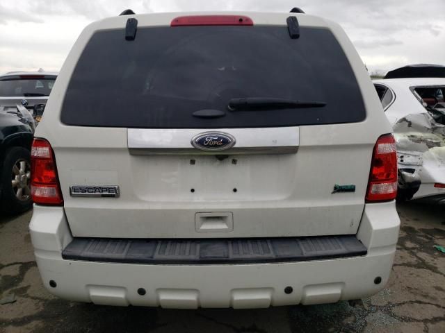 2011 Ford Escape Limited