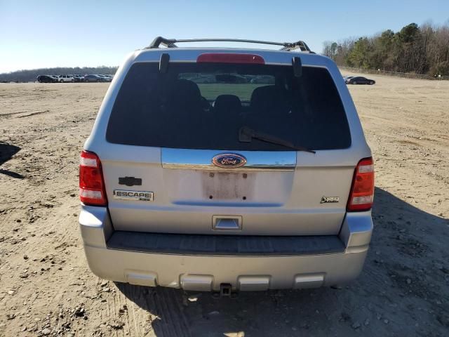 2010 Ford Escape Limited