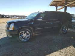 Cadillac Vehiculos salvage en venta: 2011 Cadillac Escalade ESV Platinum