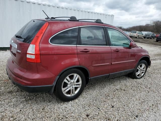 2010 Honda CR-V EXL