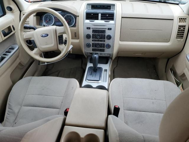 2010 Ford Escape XLT