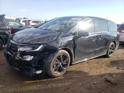 Vehiculos salvage en venta de Copart Elgin, IL: 2023 Honda Odyssey SPORT-L