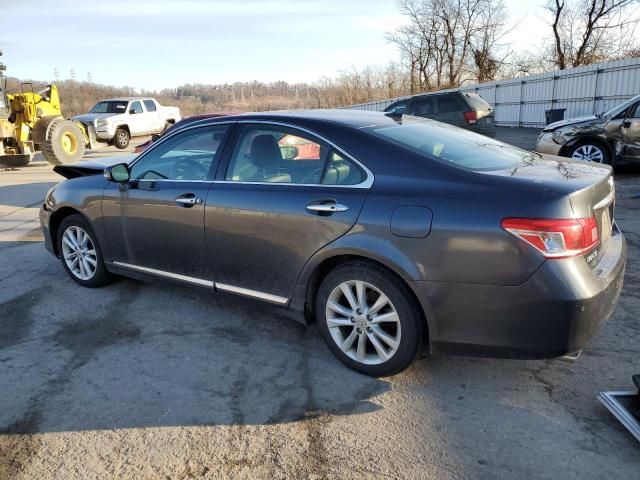 2010 Lexus ES 350