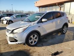 Salvage cars for sale at Fort Wayne, IN auction: 2013 Ford Escape SE