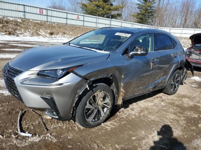 2020 Lexus NX 300H