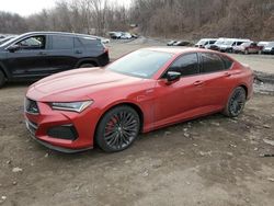 Acura TLX salvage cars for sale: 2023 Acura TLX Type S PMC Edition