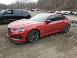 Acura salvage cars for sale: 2023 Acura TLX Type S PMC Edition