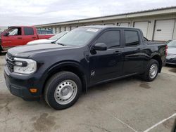 Salvage cars for sale at Louisville, KY auction: 2023 Ford Maverick XL