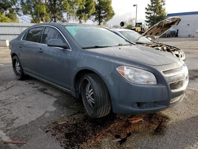 2009 Chevrolet Malibu 1LT