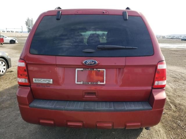 2012 Ford Escape XLT