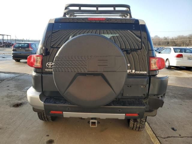 2010 Toyota FJ Cruiser