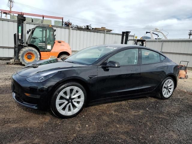 2023 Tesla Model 3