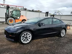 Salvage cars for sale at Kapolei, HI auction: 2023 Tesla Model 3