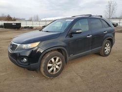 Salvage cars for sale at Columbia Station, OH auction: 2011 KIA Sorento Base