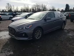 Salvage cars for sale from Copart Portland, OR: 2019 Hyundai Sonata SE