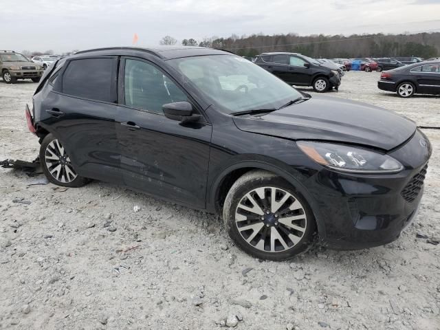 2020 Ford Escape SE Sport