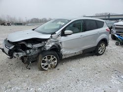 Ford Escape SEL salvage cars for sale: 2013 Ford Escape SEL