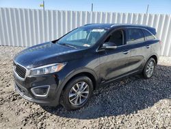 KIA Sorento LX salvage cars for sale: 2016 KIA Sorento LX