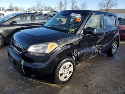 Salvage cars for sale at Bridgeton, MO auction: 2011 KIA Soul