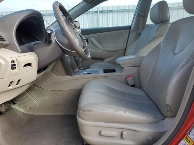 2009 Toyota Camry Hybrid