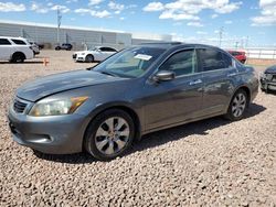 Salvage cars for sale at Phoenix, AZ auction: 2008 Honda Accord EXL