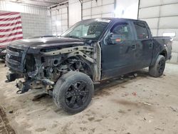 Ford salvage cars for sale: 2013 Ford F150 Supercrew