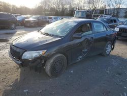 Toyota salvage cars for sale: 2010 Toyota Corolla Base