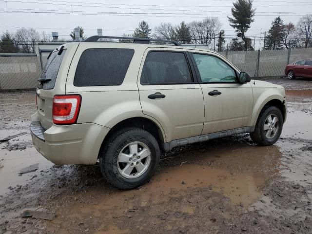 2010 Ford Escape XLT