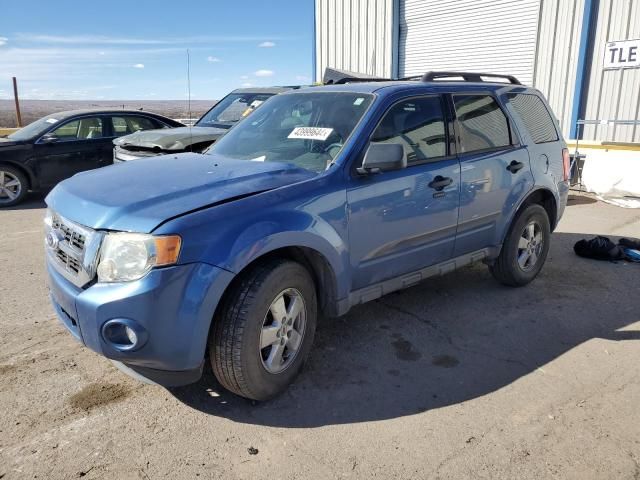 2010 Ford Escape XLT