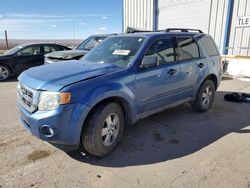 2010 Ford Escape XLT for sale in Albuquerque, NM