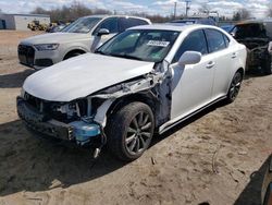 Lexus IS salvage cars for sale: 2008 Lexus IS 250