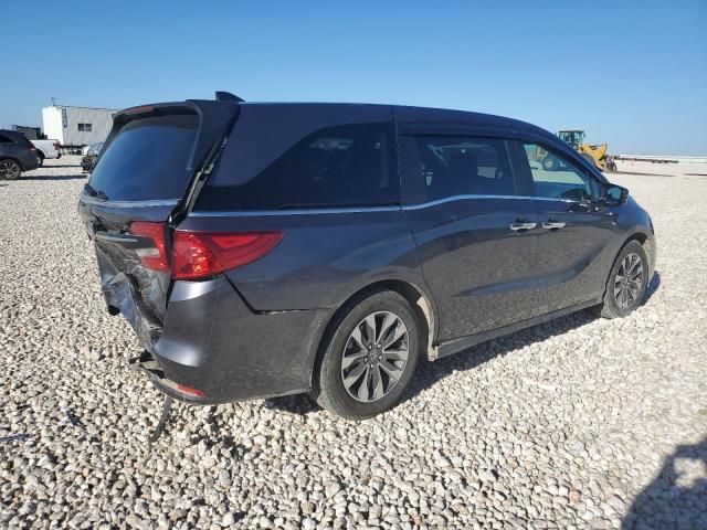 2024 Honda Odyssey EXL