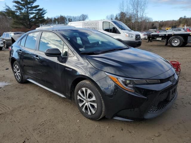 2020 Toyota Corolla LE