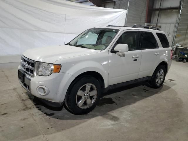 2010 Ford Escape Limited