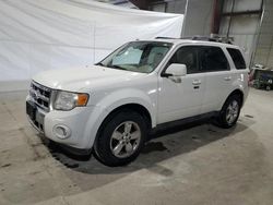 Ford Escape salvage cars for sale: 2010 Ford Escape Limited