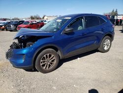 Ford Escape SE salvage cars for sale: 2022 Ford Escape SE