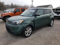 Salvage cars for sale at York Haven, PA auction: 2014 KIA Soul +