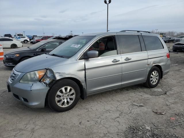 2010 Honda Odyssey EXL